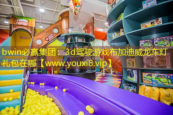 <strong>bwin必贏集團(tuán)：3d駕駛游戲布</strong>