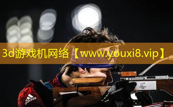 3d游戲機網絡