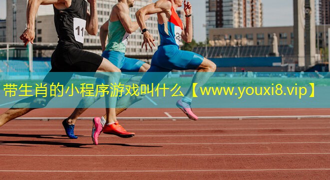 帶生肖的小程序游戲叫什么
