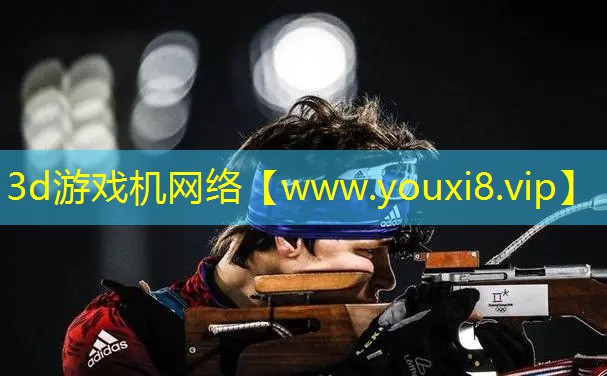 3d游戲機網絡